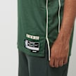 Nike NBA Dri-FIT Swingman Jersey Milwaukee Bucks - Giannis Antetokounmpo zelena 23685 5