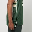 Nike NBA Dri-FIT Swingman Jersey Milwaukee Bucks - Giannis Antetokounmpo zelena 23685 6