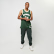 Nike NBA Dri-FIT Swingman Jersey Milwaukee Bucks - Giannis Antetokounmpo zelena 23685 7