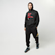 Jordan Essentials Fleece Baseline Pants schwarz 23892 6