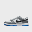 Nike Dunk Low (GS) szary 24112 1