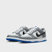 Nike Dunk Low (GS) grijs 24112 4