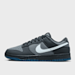 Nike Dunk Low Retro szary 24305 1