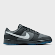 Nike Dunk Low Retro szary 24305 2