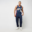 Mitchell & Ness NBA Swingman Jersey Cleveland Cavaliers 2008-09 Lebron James bleu 24406 6
