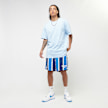 Karl Kani Retro Striped Boardshorts plava 24723 4