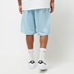 Karl Kani Sport Shadow Streifen Shorts blauw 24733 2