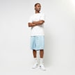 Karl Kani Sport Shadow Streifen Shorts blauw 24733 4