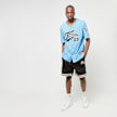 FUBU Varsity Mesh Shorts negro 24819 5
