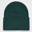 Carhartt WIP Acrylic Watch Hat verde 24836 2