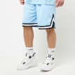 Karl Kani Small Signature Essential Mesh Shorts bleu 24926 1