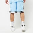 Karl Kani Small Signature Essential Mesh Shorts bleu 24926 2