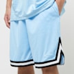 Karl Kani Small Signature Essential Mesh Shorts bleu 24926 3
