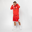 Karl Kani Small Signature Essential Mesh Shorts niebieski 24926 2