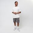 Karl Kani Small Signature Essential Cargo Shorts grau 24928 7