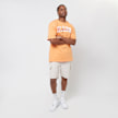 Karl Kani Small Signature Essential Cargo Shorts beige 24929 7