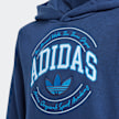 adidas Originals Sudadera con Capucha Varsity azul 25089 3