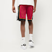 Nike Heat Statement Edition 2020 NBA Swingman Shorts biały 25236 3