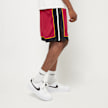 Nike Heat Statement Edition 2020 NBA Swingman Shorts biały 25236 4