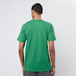 Nike Boston Celtics Essential NBA Swoosh Shortsleeve Tee grün 25250 2