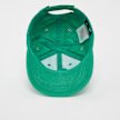 Nike   Futura Curve Brim Cap grün 25283 3