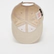 Nike Futura Curve Brim Cap beige 25295 3