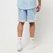 Karl Kani Small Varsity Logo Pinstripe Mesh Shorts bleu 28642 2