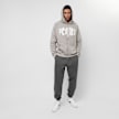 PEQUS Mythic Logo Zip-Hoodie cinzento 28824 4