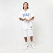 FUBU College Mesh Tee weiß 30140 6