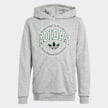 adidas Originals Varsity Hoodie grijs 30167 1