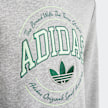 adidas Originals Felpa con Cappuccio Varsity grigio 30167 3