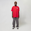 Zoo York Dark Tee czerwony 30184 5