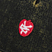 Zoo York Apple Dad Cap zwart 30249 4