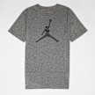Jordan Jumpman Logo Dri Fit Tee grau 30346 1