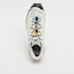 Salomon XT-6 blanc 30356 5