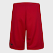 Jordan Jumpman Wrap Mesh Shorts rot 30365 2