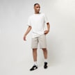 Urban Classics Organic Skater Chino Shorts beige 30577 5