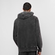Dickies Newington Hoodie grijs 30592 2