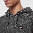 Dickies Newington Hoodie grijs 30592 3