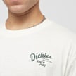 Dickies Raven Tee Shortsleeve bianco 30594 3