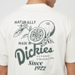 Dickies Raven Tee Shortsleeve bianco 30594 4