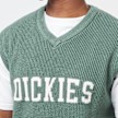 Dickies Melvern Vest zielony 30598 3