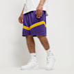 Nike NBA LAL MNK DF PRAC ICON+ 8IN field purple/amarillo/amarillo pourpre 30621 1