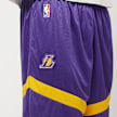 Nike NBA LAL MNK DF PRAC ICON+ 8IN field purple/amarillo/amarillo pourpre 30621 4