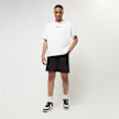 Dickies Duck Canvas Chap Short noir 30665 5
