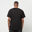 Dickies Enterprise Tee Shortsleeve czarny 30669 2