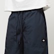 Dickies Fisherville Pant azul 30671 3