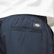 Dickies Fisherville Pant azul 30671 4