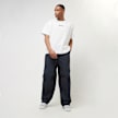 Dickies Fisherville Pant azul 30671 5