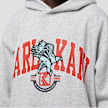 Karl Kani OG Eagle Print Oversized Hoodie grau 30742 3